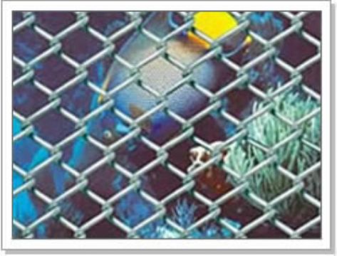 Hexagonal Wire Netting